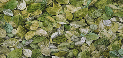 Обои Elysium Серия Шелест Е18207